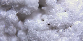 expanded perlite texture closeup