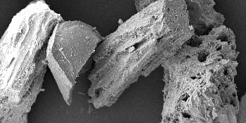 micrograph of pumice texture