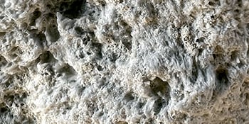 pumice texture closeup