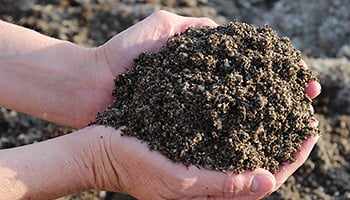pumice in garden soil